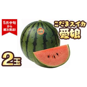 ふるさと納税 こだまスイカ 愛娘(2玉)【202...の商品画像