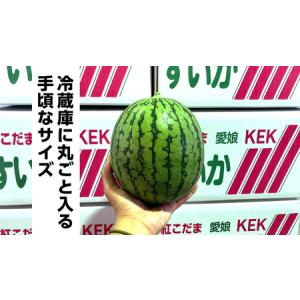 ふるさと納税 こだまスイカ 愛娘(2玉)【20...の詳細画像3