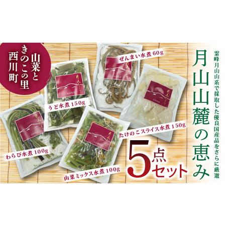 ふるさと納税 FYN9-133【山菜ときのこの里西川町】特選山菜水煮5点セット 山形県西川町