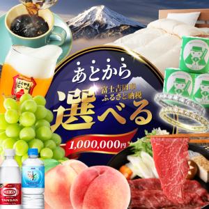 ふるさと納税 あとからセレクト【ふるさとギフト】...の商品画像