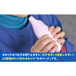 ふるさと納税 【美濃焼】 オカリナよりも吹きや...の詳細画像1