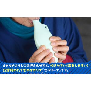 ふるさと納税 【美濃焼】 オカリナよりも吹きや...の詳細画像1