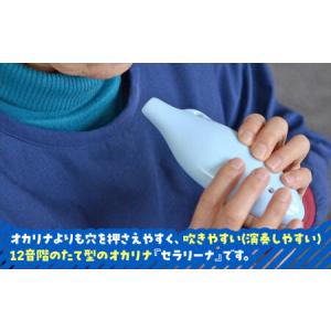 ふるさと納税 【美濃焼】 オカリナよりも吹きや...の詳細画像1
