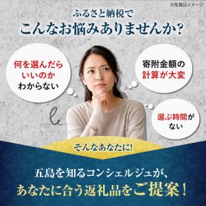 ふるさと納税 【五島市コンシェルジュ】寄附額5...の詳細画像1