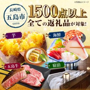 ふるさと納税 【五島市コンシェルジュ】寄附額5...の詳細画像3