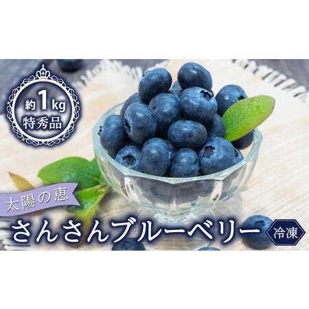 ふるさと納税 ブルーベリー 1kg 冷凍 健康 食品 500g × 2袋 高知県 須崎市 ( ブルー...