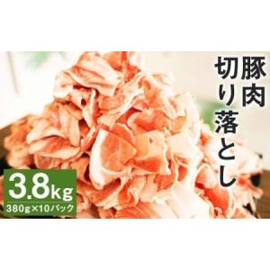 ふるさと納税 九州産 豚肉 切り落とし 計3.8kg（380g×10）小分け