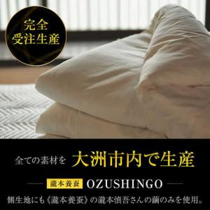 ふるさと納税 布団 純国産 高級シングル布団 ...の詳細画像2