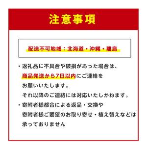 ふるさと納税 【観葉植物】パンダガジュマル85...の詳細画像4