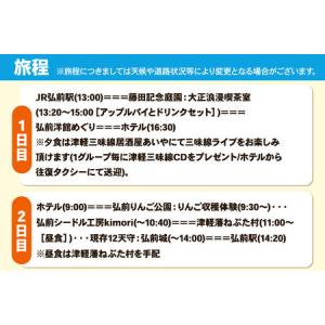 ふるさと納税 【タクシーでらくらく移動】着地型...の詳細画像1