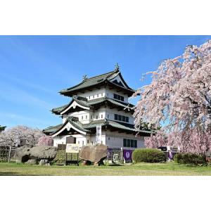 ふるさと納税 【タクシーでらくらく移動】着地型...の詳細画像4