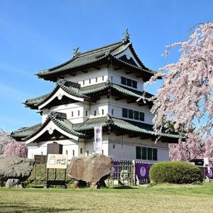 ふるさと納税 【タクシーでらくらく移動】着地型...の詳細画像4