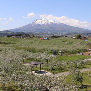 ふるさと納税 【タクシーでらくらく移動】着地型...の詳細画像3