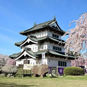 ふるさと納税 【タクシーでらくらく移動】着地型...の詳細画像4