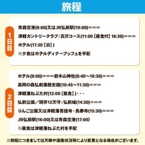 ふるさと納税 【タクシーでらくらく移動】着地型...の詳細画像1