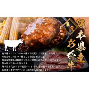 ふるさと納税 熊本県産あか牛100%生ハンバー...の詳細画像1