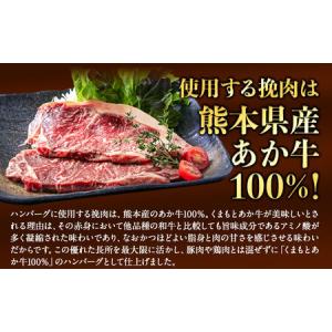 ふるさと納税 熊本県産あか牛100%生ハンバー...の詳細画像2