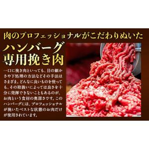 ふるさと納税 熊本県産あか牛100%生ハンバー...の詳細画像3