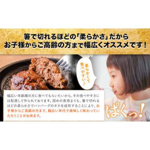 ふるさと納税 熊本県産あか牛100%生ハンバー...の詳細画像4