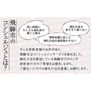 ふるさと納税 【飛騨市のコンシェルジュ】寄附金...の詳細画像1
