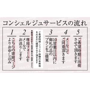 ふるさと納税 【飛騨市のコンシェルジュ】寄附金...の詳細画像2