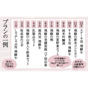 ふるさと納税 【飛騨市のコンシェルジュ】寄附金...の詳細画像3