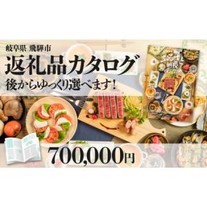 ふるさと納税 後からゆっくり返礼品を選べる♪飛騨...の商品画像