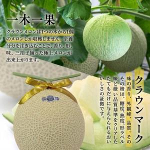 ふるさと納税 クラウンメロン 定期便 12回 ...の詳細画像3