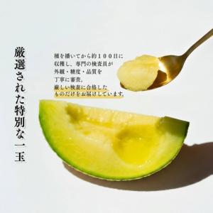 ふるさと納税 クラウンメロン 定期便 12回 ...の詳細画像4