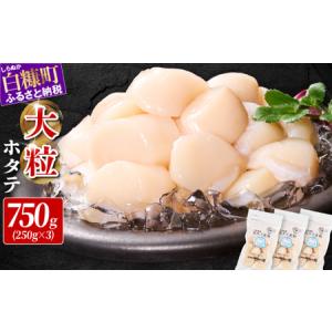 ふるさと納税 【中国禁輸措置被害支援品】ホタテ 大サイズ (3S) 750g ( 250g × 3 ) オホーツク産 お刺身用 絶対鮮度宣言をしている 海鮮 送.. 北海道白糠町