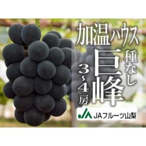 ふるさと納税 JAフルーツ山梨 甲州市産ハウス種なし巨峰3〜4房【80】【2026年発送】C-105...