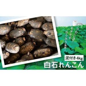 ふるさと納税 産地直送！白石れんこん（泥付き）4kg