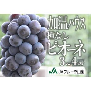 ふるさと納税 JAフルーツ山梨 甲州市産ハウス種なしピオーネ3〜4房【80】【2026年発送】C-1...