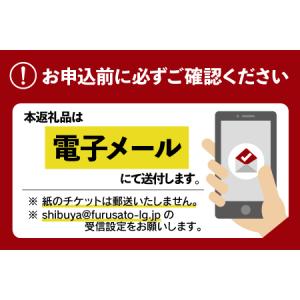 ふるさと納税 [表参道の美容室Oneday]ス...の詳細画像4