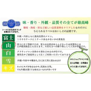 ふるさと納税 メロン クラウン 上 中玉 1玉...の詳細画像1