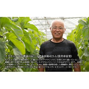 ふるさと納税 メロン クラウン 上 中玉 1玉...の詳細画像4