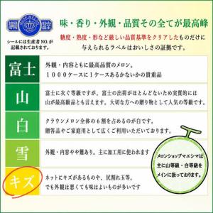 ふるさと納税 メロン クラウン 訳あり 2玉 ...の詳細画像1