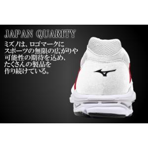 ふるさと納税 AO40 ミズノランニングシュー...の詳細画像1