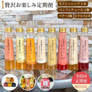 ふるさと納税 【 全6回 定期便 】 糸島 野菜...の商品画像