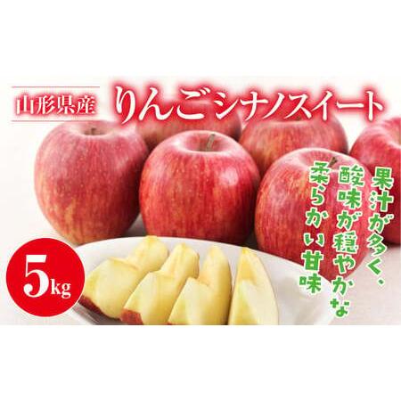 ふるさと納税 FYN9-382 ご家庭用 山形県産 りんご シナノスイート 約5kg 丸秀以上 20...