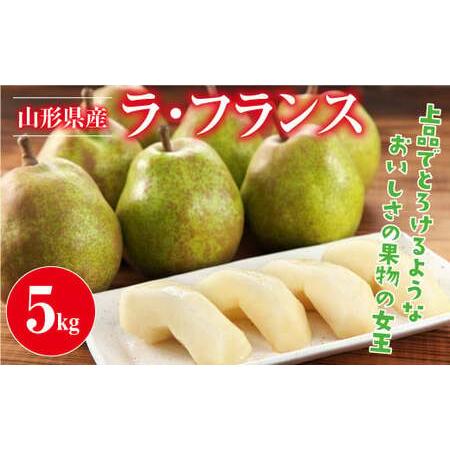 ふるさと納税 FYN9-387 ≪2026年先行予約≫山形県産 西洋梨 ラ・フランス 5kg(14〜...