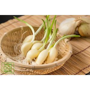 アイテムID:364798の画像1枚目