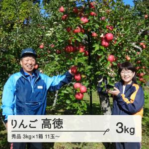 ふるさと納税 《先行予約》令和8年産 2026年 山形県産 りんご 高徳りんご 秀品 約3kg(11~18玉) リンゴ ※沖縄・離島への配送不可 F20A-974 山形県山辺町