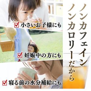 ふるさと納税 「全6回定期便」佐賀県産麦茶 (...の詳細画像3