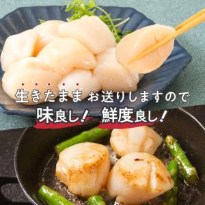 ふるさと納税 【予約:2026年4月から順次発...の詳細画像1
