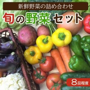 ふるさと納税 野菜 セット 7~8品旬 詰め合わせ おたのしみ 新鮮 高知 須崎 高知県須崎市