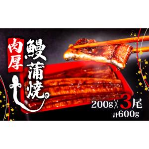 ふるさと納税 うなぎ蒲焼 200g×3尾 うなぎ...の商品画像