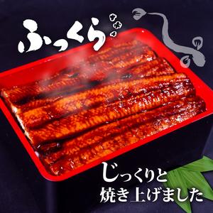 ふるさと納税 うなぎ蒲焼 200g×3尾 うな...の詳細画像1
