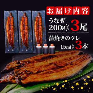 ふるさと納税 うなぎ蒲焼 200g×3尾 うな...の詳細画像4