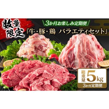 ふるさと納税 数量限定 3か月 お楽しみ 定期便 牛 豚 鶏 バラエティ セット 総重量5kg 肉 ...